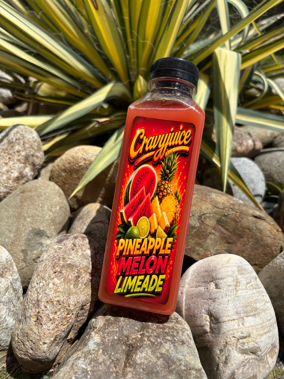 Pineapple Watermelon Limeade Juice