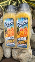 Paradise Punch Tropical Juice – 4 Pack