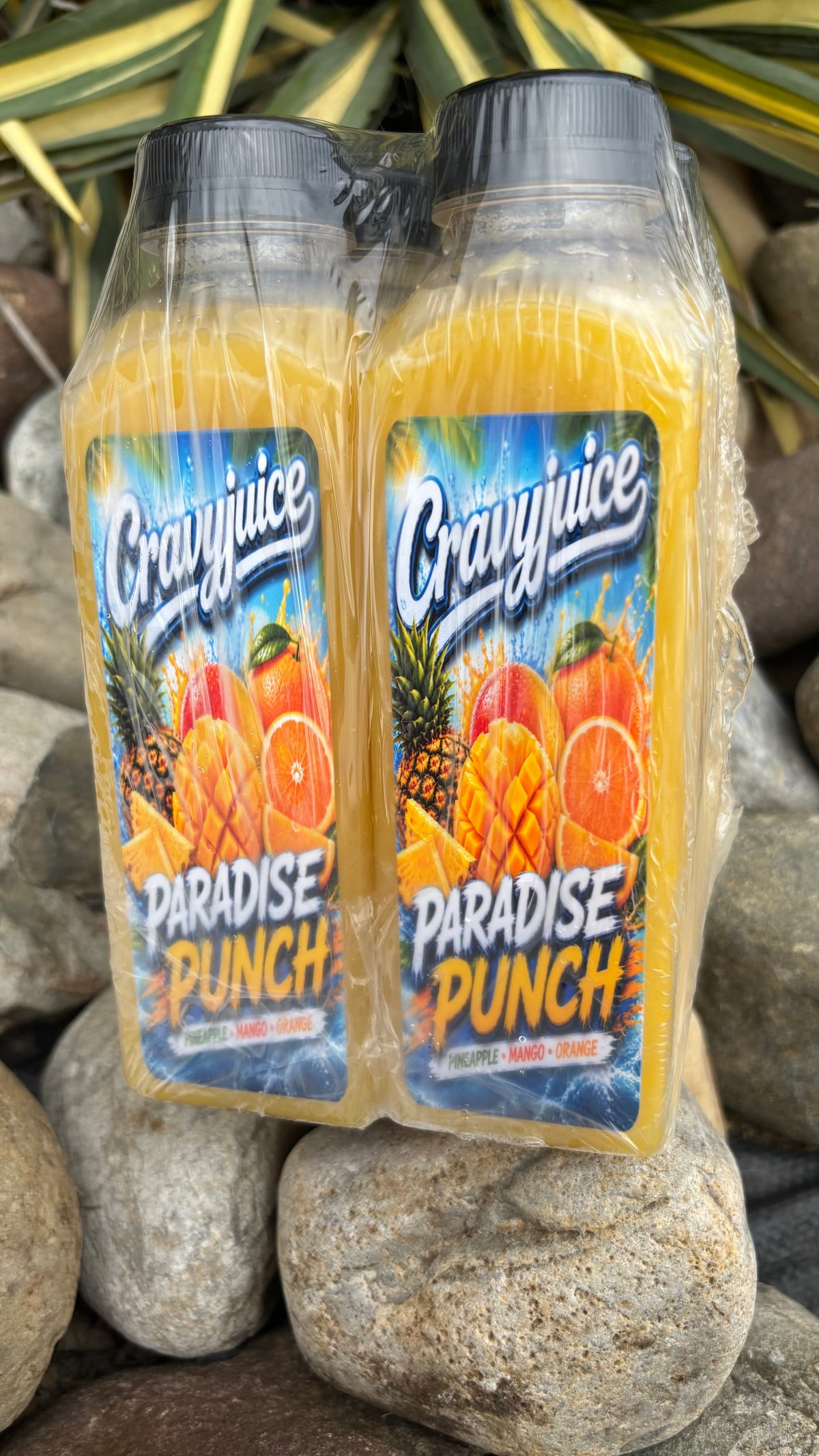 Paradise Punch Tropical Juice – 4 Pack