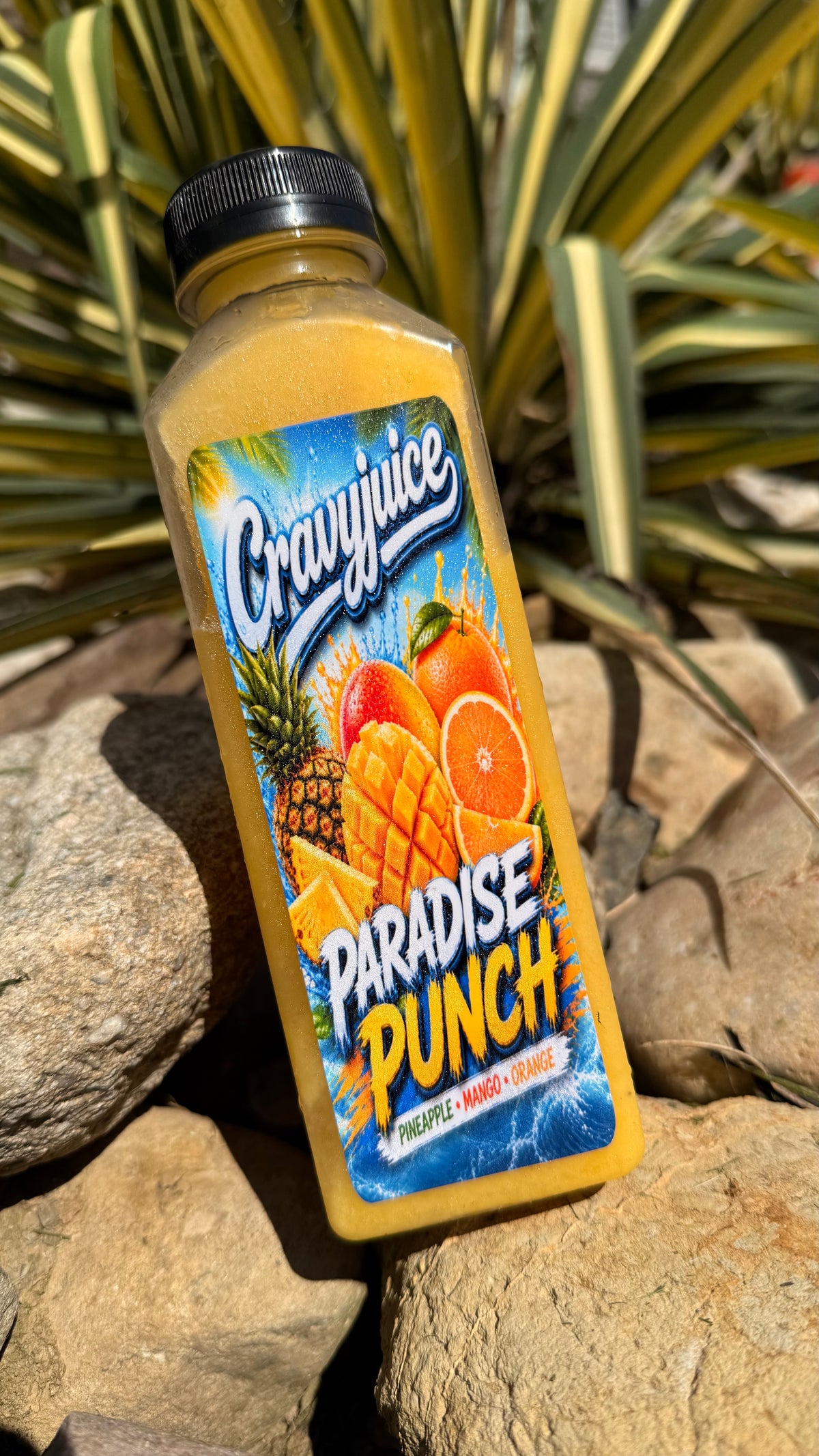 Paradise Punch Tropical Juice – Pineapple, Mango & Orange