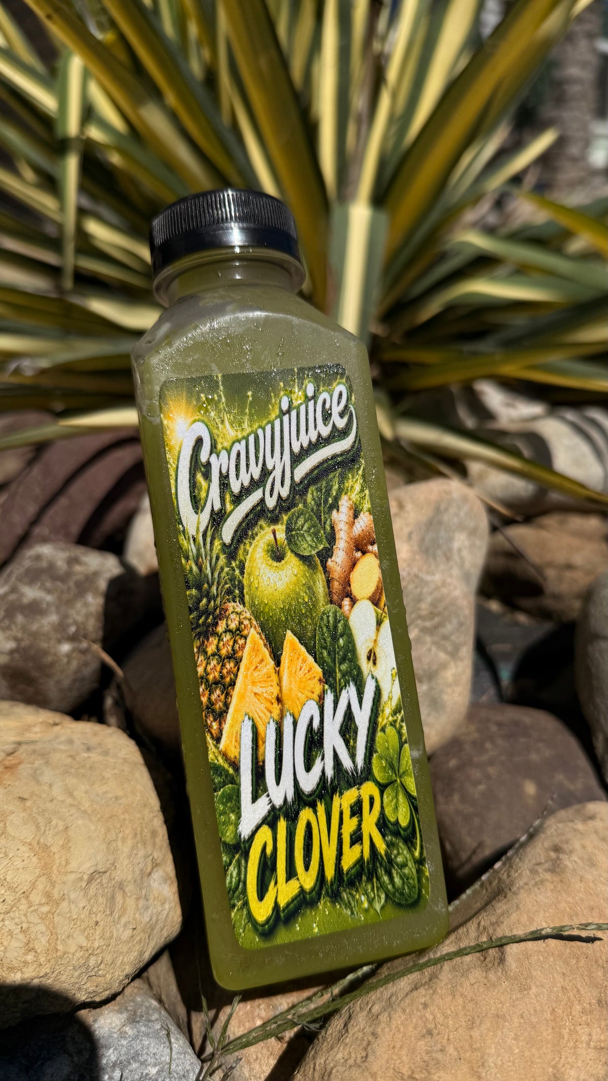 Lucky Clover Green Juice – Apple, Pineapple, Ginger & Spinach